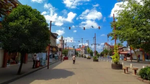 اجاره خودرو در رشت