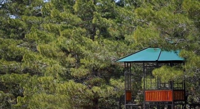 بوستان یاس فاطمی