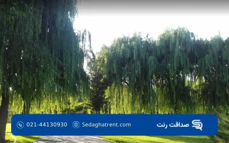 پارک آزادگان