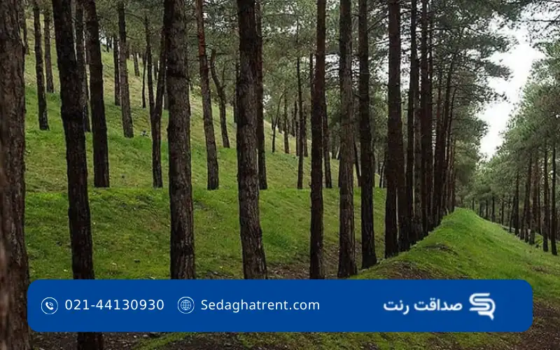 پارک جنگلی لویزان