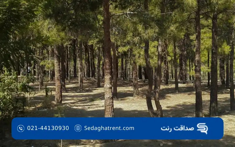 پارک جنگلی چیتگر